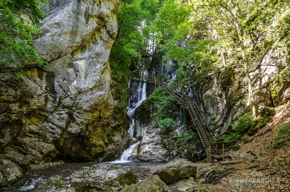 Grüner See / Tragöss / steiermark / Österreich