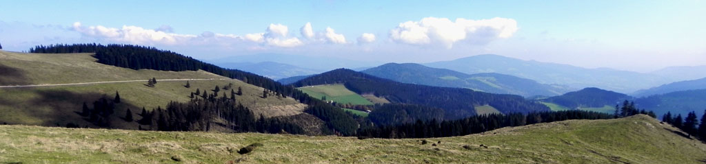 Graz Steiermark Ferienhaus Wochenendhaus